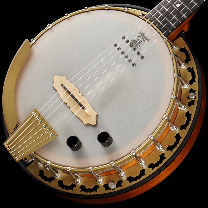 DEERING BANJO Pheonix 6-Strings Acoustic/Electricの画像